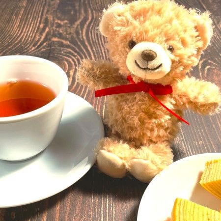 迷惑行為に気を付けて！“ぬい活”が楽し過ぎて「メンタルが安定した」との声が続出！