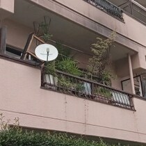 自宅マンションが火事になって「下の階の水浸し住人に支払うカネが…」林家ペー・パー子夫妻にまつわる「地元の噂」