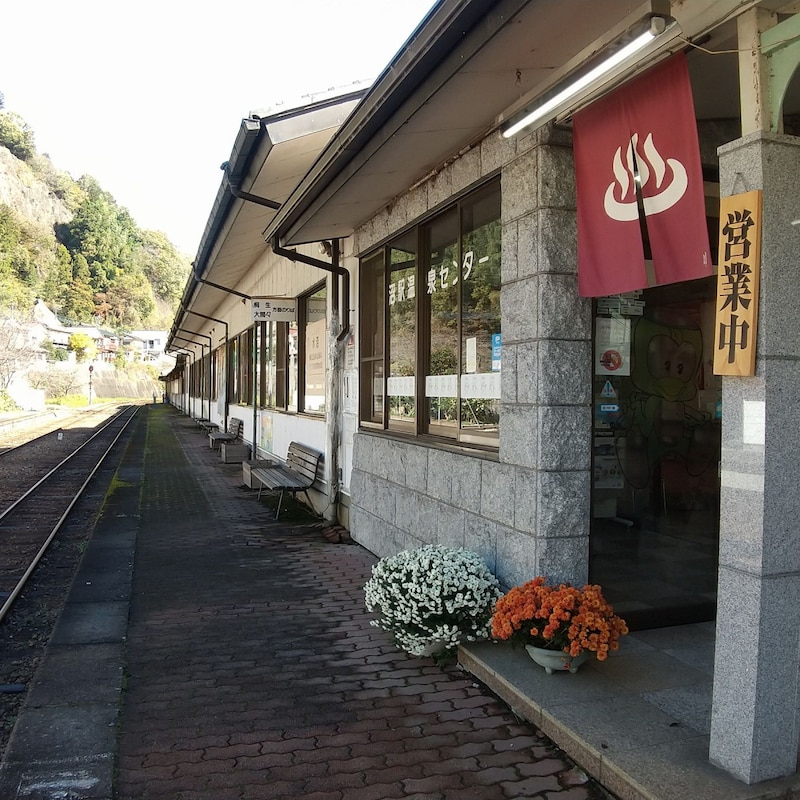 紅葉見ながら電車で直行!駅ナカ温泉で癒やされる秘境ローカル線