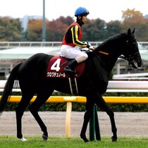 「第104回凱旋門賞」必中大作戦！日本勢初制覇クロワデュノールが勝つ！