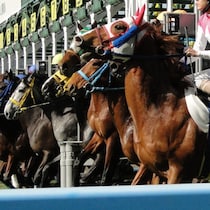 【京都大賞典の大ヒント】上位馬４頭「休み明け初戦」の不安につけこむ「勝負がかりの２頭」