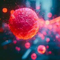 【超常現象ファイル】来場者騒然！ディズニー・ワールドにいきなり現れた「光る球体」の特殊な動き「動画投稿」