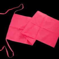 【お笑い日本史】江戸時代に存在した「ふんどしレンタル業者」洗濯して使い回すレンタル料金は「かけそば１杯分」