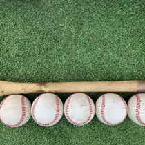 プロ野球界で多発！折れたバットが飛ぶ「直撃事故」の原因は「硬さ・軽量化・乾燥」危険な製造現場