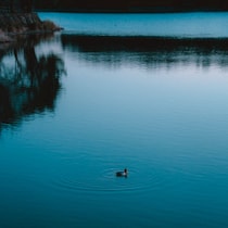 140年も沈んでいた「ミシガン湖の幽霊船」が出た！世界最大の幽霊船スポットで犠牲になった「600隻３万人」の目撃談