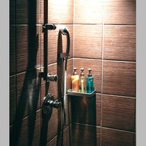 【理学療法士が重大警告】暑い夏にシャワーで済ませると「血管ボロボロ」脳梗塞に！「風呂に浸かるとできるtPA物質」の重要性