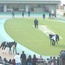 【最新馬券のツボ】芝もダートも！美浦トップクラスになった田中博康厩舎の「恐るべき勝ちっぷり」