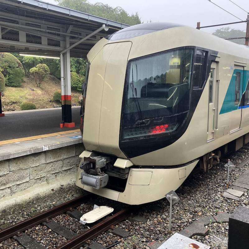 秋の夜に出発、朝には紅葉の絶景!東武「日光紅葉夜行」は令和の大人遠足だった