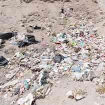 【仰天生物ミステリー】世界のゴミ問題を解決する「プラスチックや発泡スチロールを食べるキノコ・微生物」