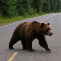 “テレビ・新聞が報じないリアル告白”私は「クマ襲撃」からこうして生き延びた