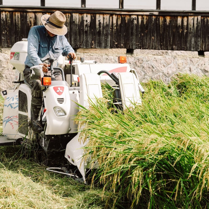 コメは来年1200円に大暴落する！卸業者が明かす「在庫予想量」の衝撃データ