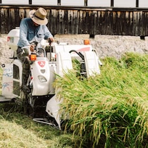 コメは来年1200円に大暴落する！卸業者が明かす「在庫予想量」の衝撃データ