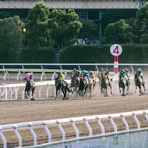 【競馬ウラ事情】フォーエバーヤングはJRA賞「年度代表馬」になれないかもしれない「レースの舞台問題」大論争