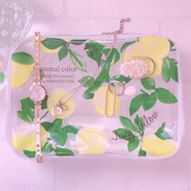 【#100均財布界隈】Ｚ世代と旅人が「ブランド財布より100均の透明ポーチ」を選ぶ「軽さ指向・カードと小銭・実用性」