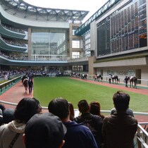 夏競馬のミステリー？各レース7番に単勝100万円をつぎ込む「ミステリーオッズ」が今度は福島に現れた