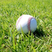 プロ野球選手Mが語った「移籍先」