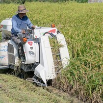 【日本コメ受難の先】アメリカ米輸入1000倍でトランプはウハウハ！「有事」なら日本はイスラエル「ガザ地区」になる