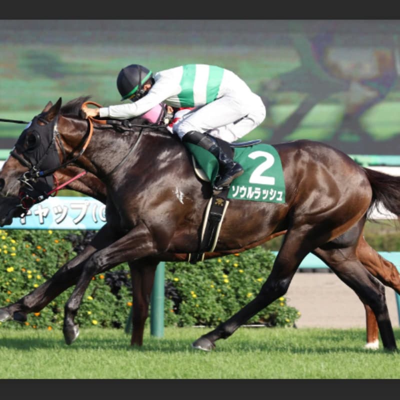 【マイルCS】秋GIは関東馬が５連勝中だけど…絶好調Ｃ・デムーロの腕と「前走・富士Ｓ組」の実績