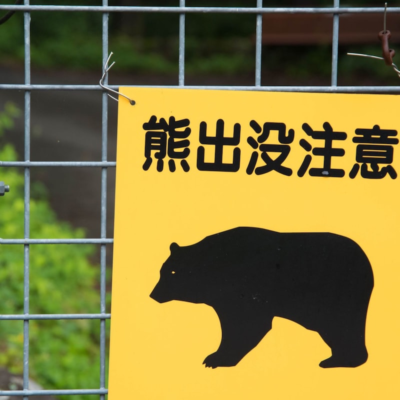 【恐怖の生態】セレブ御用達「高級コテージとログハウス」無人別荘と古民家が冬眠クマの「快適ホテル」になる！