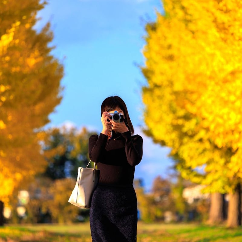 警備員に暴言・違法駐車・民家の壁に放尿・木をゆすって…紅葉イチョウ並木撮影「大迷惑インフルエンサー」やりたい放題に住民が怒髪天！