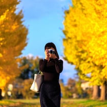 警備員に暴言・違法駐車・民家の壁に放尿・木をゆすって…紅葉イチョウ並木撮影「大迷惑インフルエンサー」やりたい放題に住民が怒髪天！