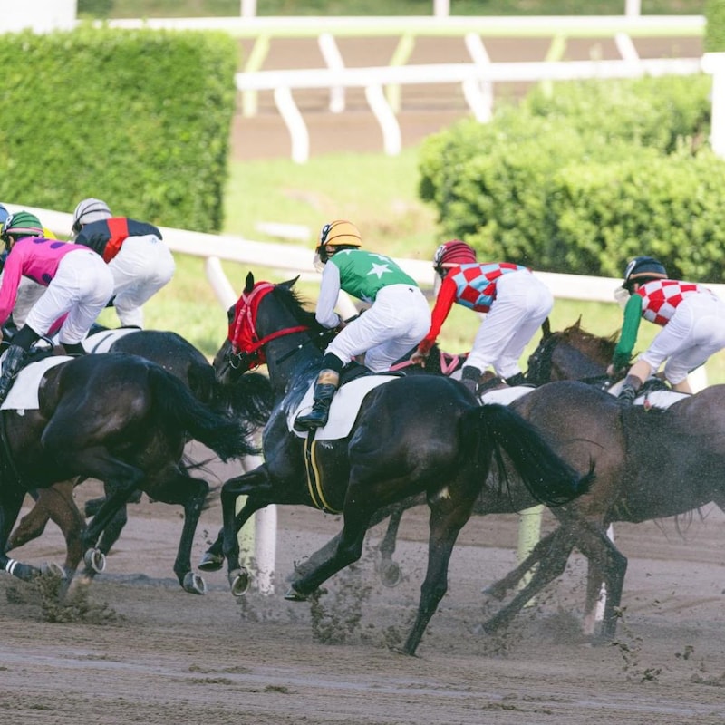 【チャンピオンズＣの大ヒント】馬券作戦のキーワードは「コースバイアス」疑わしい人気馬＆人気薄でも格別の注意が必要な馬