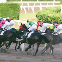 【チャンピオンズＣの大ヒント】馬券作戦のキーワードは「コースバイアス」疑わしい人気馬＆人気薄でも格別の注意が必要な馬