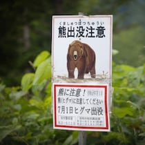 北海道猟友会会長が「ヒグマ駆除には協力できない」と断言した「死者の４割はハンター」戦慄データと「無残な遺体」現場