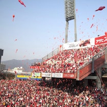 「資金力」問題を抱える広島カープに噴出した「もしも親会社がダイソーなら…」FA流出と大型補強の現実的議論