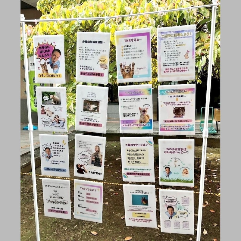 茨城イベント「庭に野良猫が数十匹いるかも」女性の告白で直ちにやったこと/ケイリン女王・高木真備の「保護ねこ生活」