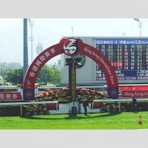 「アサ芸ギャンブル部」〈日本馬9頭が参戦！12.8「香港国際競走」“得”情報！〉（1）