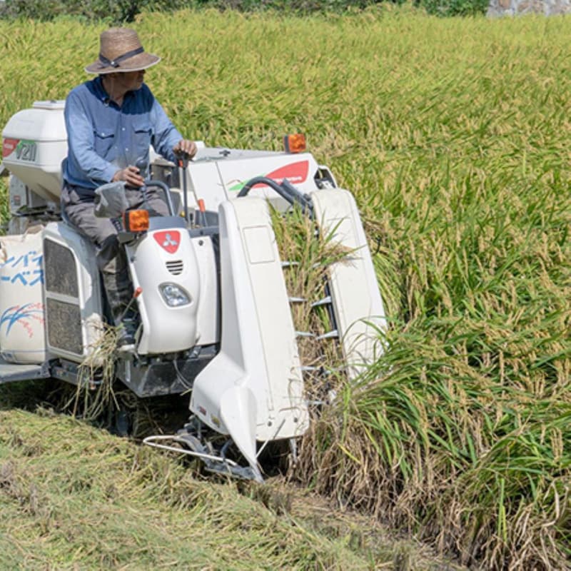 「おこめ券」どころではない「コメ価格暴落」の時限爆弾!卸商も農家も大赤字でコメを作らなくなる