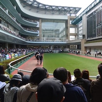 「単勝万馬券」の宝庫は減量騎手！「万券率」がすごすぎる石田拓郎・和田陽希の急上昇ぶり