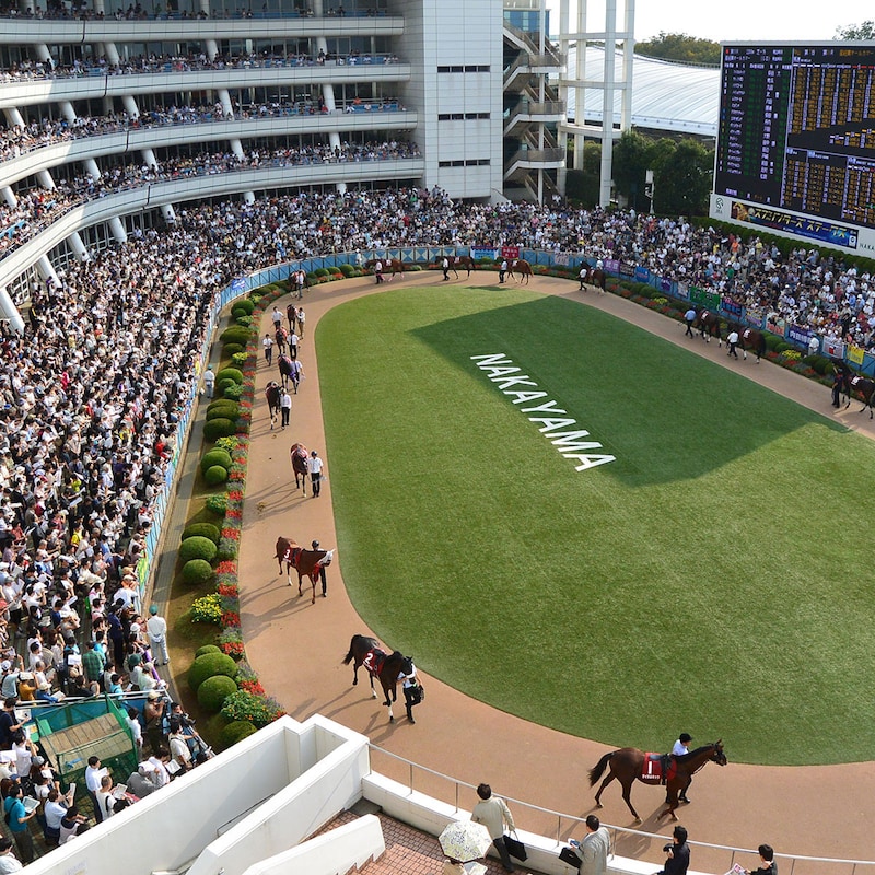 【ホープフルSの大ヒント】わずか数戦の着順では馬券が見えてこない「別のファクター」3つの好走例