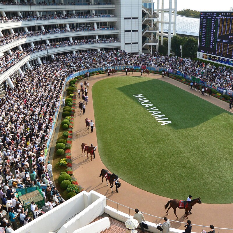 【オールカマーの大ヒント】前走を叩いた人気馬ドゥラドーレスとコスモキュランダを「押さえにとどめるべき」理由とは…