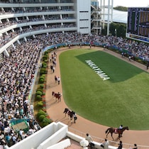 【オールカマーの大ヒント】前走を叩いた人気馬ドゥラドーレスとコスモキュランダを「押さえにとどめるべき」理由とは…