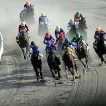 勢いNo.1「中内田充正厩舎」がダート馬に力を入れ始めた「新馬戦３頭連続ぶっちぎり」と「高額賞金」事情