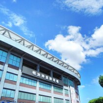 神宮球場の座席販売「ダイナミックプライシング」再燃で外野席「1万円超」に阪神ファン大ブーイング