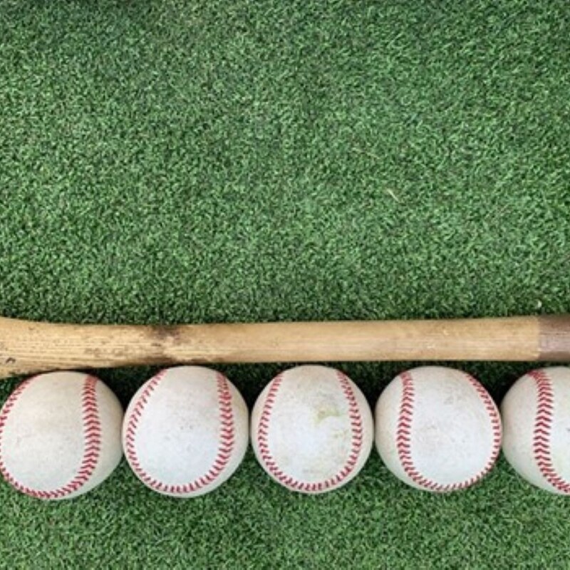 プロ野球界で多発!折れたバットが飛ぶ「直撃事故」の原因は「硬さ・軽量化・乾燥」危険な製造現場