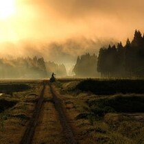 広島で再び「ヒバゴン」目撃続出「黒い大型獣が横切った」実は地域復興の重要シンボルに！