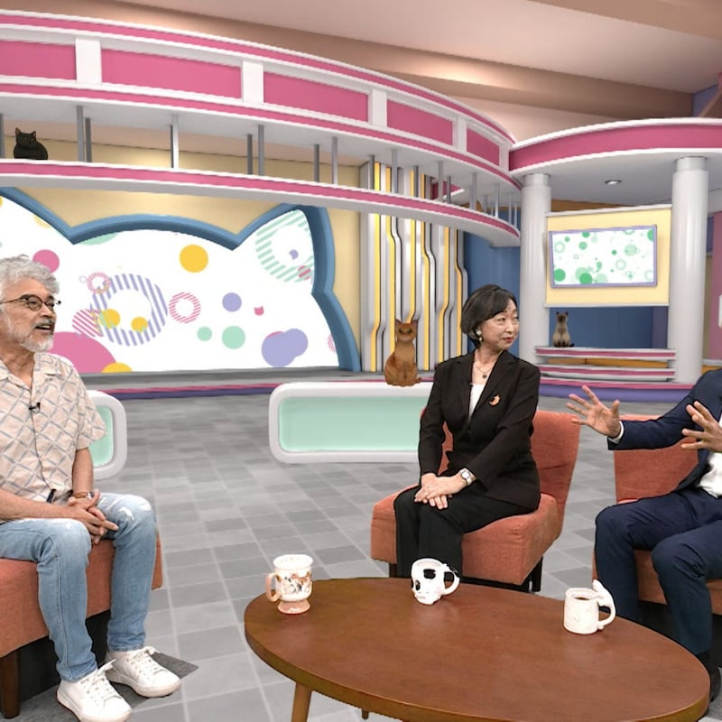 【実演映像】飼い主はキッチリ覚えておくべし！猫の心肺蘇生法「横向きにして」「心臓マッサージと人工呼吸の正しい手順」