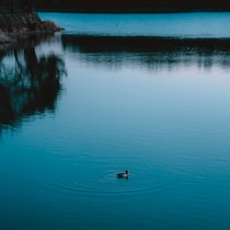 140年も沈んでいた「ミシガン湖の幽霊船」が出た！世界最大の幽霊船スポットで犠牲になった「600隻３万人」の目撃談