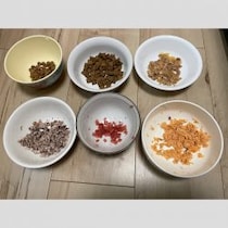 【猫のごはん、何食べさせてる？①】病気になったらカリカリよりも「生マグロ・生牛肉」