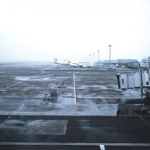 【羽田炎上事故】原因はハッキリしているのに「国交省と海保が責任のなすり合い」で真相究明妨害のアキレた実態