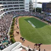 【フェアリーＳの大ヒント】堅い３ケタ配当は全くなし「１番人気は消せ」「優勝確率８割のゾーン」「まるでアテにならない重賞実績」