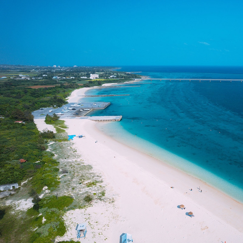 【カラクリ解説】年末年始「ジャングリア沖縄」に人が押し寄せたのは「評判回復」したからではなく「単に3つの条件が重なった」から