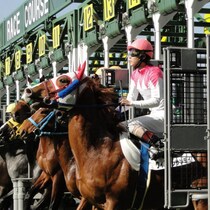 競馬「矯正馬具」の効用は…ブリンカーで激走する馬・裏目に出る馬を見分ける「騎手の進言」