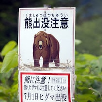 「タレントから犠牲者が出る！」歩いてゴールを目指す「旅番組ロケ地」は「クマだらけ」専門家が緊急警告