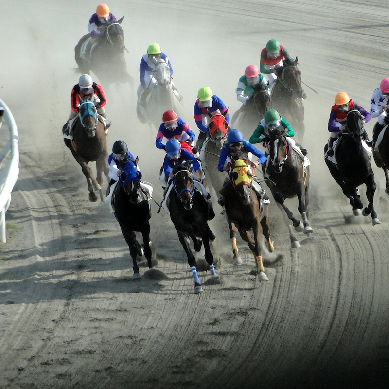 【プロキオンSの大ヒント】傑出馬不在の大混戦…とある条件を満たすと「勝率23.5%・連対率29.4%・複勝率41.2%」に!