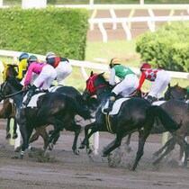 【根岸ステークスの大ヒント】なぜこれまでダートを使わなかったのか！「バリバリのダート一族」中穴牝馬の「うまみ」
